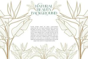 heliconia löv blommig vektor design mall som bakgrund för kosmetisk och spa naturlig skönhet etiketter