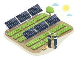 Clever Solar- Landwirtschaft mit Landwirtschaft System Solar- Paneele zwischen Gemüse fram Bereich Ökologie isometrisch isoliert Karikatur Vektor