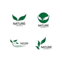 Blatt Ökologie Natur Element Vektor