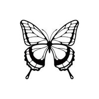Schmetterlingsvektor isoliert auf weißem Hintergrund vektor