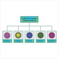 varianter av oro, variant av intressera, SARS-CoV-2 varianter vektor