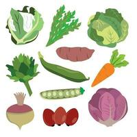 grönsaker uppsättning, vektor illustration, isolerat på vit bakgrund.
