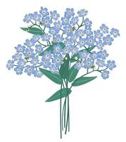 blå blommor isolerade över vit bakgrund blommig sommarbukett vild blåklocka och glöm menot blommor sommar dekor vektor