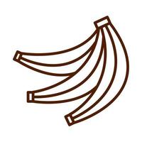 hälsosam mat färsk frukt tropiska bananer produkt linje stilikon vektor