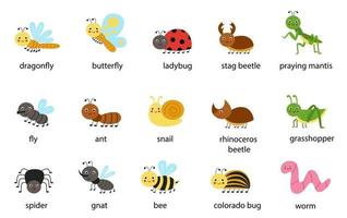 Insects worksheets