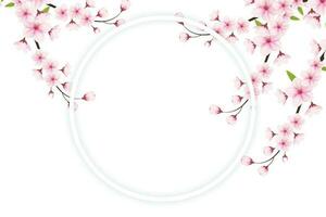 körsbär blomma ram med Plats för text. vektor illustration. körsbär blomma vektor. rosa sakura blomma bakgrund. körsbär blomma blomma blomning vektor