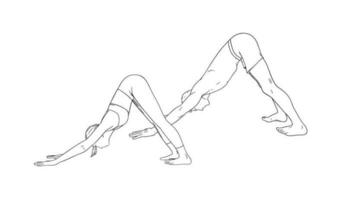 Yoga nach unten gegenüber Hund Pose oder Svanasana. Frau und Mann üben Yoga. skizzieren Vektor Illustration