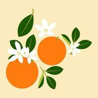 bunt Karikatur Obst Symbol. orange. Sommer- frisch Obst Vektor Illustration.