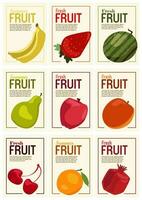 vektor sommar frukt uppsättning för social media, vykort, skriva ut. hand dragen päron, granatäpple, mandarin, orange grenar. vitamin natur och vegetarian.