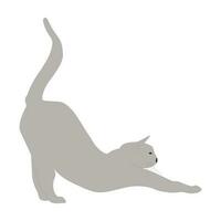 silhuett av en grå katt valv med nöje vektor