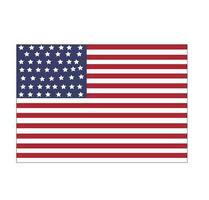 USA Flagge Illustration vektor