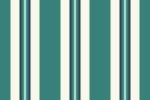 Vektor nahtlos Linien von Textil- Vertikale Streifen mit ein Stoff Textur Muster Hintergrund.