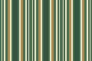 bakgrund vektor sömlös av rader mönster rand med en vertikal textil- tyg textur.