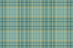 bakgrund tyg textur av pläd vektor mönster med en kolla upp textil- sömlös tartan.