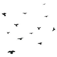 Silhouette skizzieren von ein Herde von fliegend Vögel, Flug im anders Positionen. schweben, hochfliegend, Landung, fliegend, flattern vektor