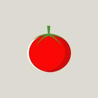 Tomate Design mit eben Design Stil vektor