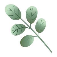 Zweig mit Blättern botanischem Farbverlaufssymbol vektor