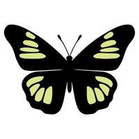 Schmetterling schön Flügel, Frühling Natur, Vektor Illustration