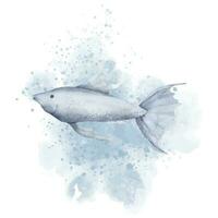 Guppy Fisch mit Aquarell Spritzen. Hand gezeichnet Illustration von Aquarium Haustier auf isoliert Hintergrund. Zeichnung von unter Wasser tropisch Tier. skizzieren von exotisch Marine Blau Kreatur zum Symbol oder Logo vektor