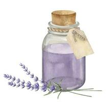 Lavendel wesentlich Öl. Hand gezeichnet Aquarell Illustration von Jahrgang Flasche zum Aromatherapie auf Weiß isoliert Hintergrund. Zeichnung von alt Flakon mit Blumen zum kosmetisch oder Alternative Medizin vektor