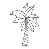 tropisch Kokosnuss Baum. Gekritzel einfach Clip Art. alle Objekte sind neu lackiert. vektor