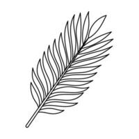 tropisch Palme Blätter. Gekritzel einfach Clip Art. alle Objekte sind neu lackiert. vektor