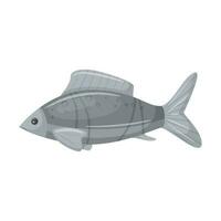 roh, frisch grau Fisch. Marine, Fluss Tier. eben Karikatur Vektor Illustration isoliert auf ein Weiß Hintergrund.