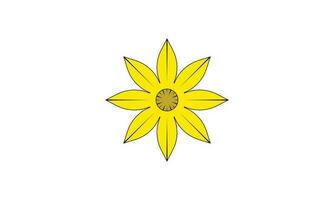 gelbe Blume auf weißem Hintergrund vektor