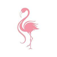 Flamingo abstrakt Vektor Symbol. Illustration von tropisch Vogel.