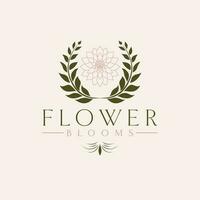 blomma blooms vektor logotyp design. dahlia blomma logotyp. blommig logotyp mall för skönhet industri.