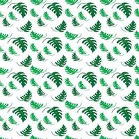 Monstera Blätter Blumen- nahtlos pettern Hintergrund Design vektor