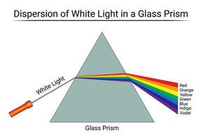 Dispersion von Weiß Licht im ein Glas Prisma vektor