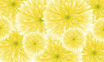 abstrakt gul ringblomma blomma bakgrund. vektor