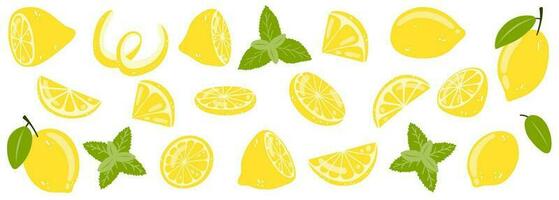 einstellen von Hand gezeichnet ganz, Hälfte, geschnitten Zitrone. Vektor Illustration von frisch lecker Zitrusfrüchte Früchte und Minze zum Symbol, Logo, Netz Design, Verpackung, Karte, drucken.
