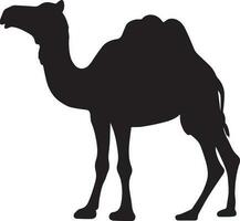 kamel vektor silhuett illustration