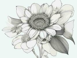 Vektor Linie Kunst Zeichnung von schwarz und Weiß Blumen- Illustration.