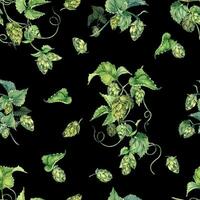 hop Ranke, Pflanze Humulus Aquarell nahtlos Muster isoliert auf schwarz Hintergrund. hop auf Brunch mit Blätter, hop Zapfen Hand gezeichnet. Design Element zum Verpackung, Etikett, Verpackung, Papier, Textil- vektor