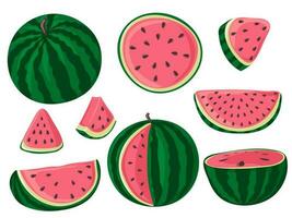 einstellen von Wassermelonen, ganz, Hälfte und Scheiben. Grün gestreift Beere mit rot Fruchtfleisch und braun Saat vektor