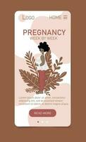 graviditet vecka förbi vecka vertikal webb app mall. kvinna karaktär förväntar sig bebis lysande med förväntan och lycksalig spänning vektor