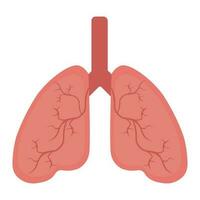 Lungenmenschikone, Atmungssystem gesunde Lungenanatomie flaches medizinisches Organikone vektor