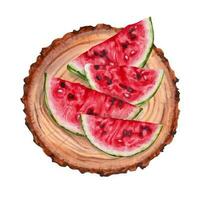 sammansättning med bitar av vattenmelon och en trä- stubbe. se från ovan. samling av frukter.nationella vattenmelon dag.augusti 3.nationella vattenmelon dag. hand dragen vektor illustration.