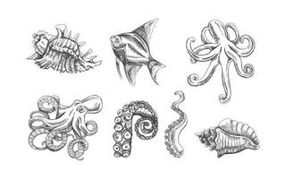 snäckskal, bläckfisk, tropisk fisk, bläckfisk tentakel vektor uppsättning. hand dragen skiss illustration. samling av realistisk hav varelser isolerat på vit bakgrund.
