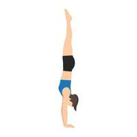 Frau tun adho Mukha vrksasana oder Handstand Pose Yoga Übung. vektor