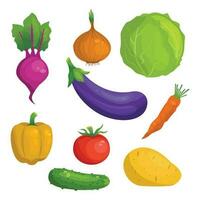 tecknad serie grönsaker. kål, lök, peppar, rödbeta, äggplanta, tomat, gurka, potatis, morot. vektor grafisk.