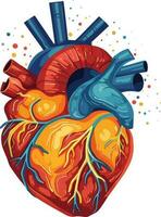 mänsklig hjärta vektor illustration på isolerat bakgrund