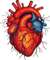 mänsklig hjärta vektor illustration på isolerat bakgrund