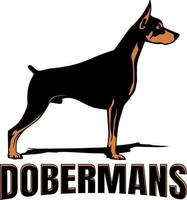 doberman hund logotyp design vektor konst