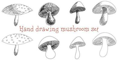 Hand Zeichnung Pilze zum Fantasie Bücher und Farbe Bücher vektor