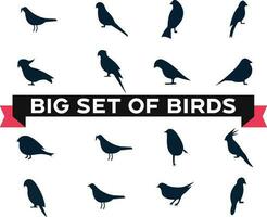fåglar silhuetter och ny fåglar ikon mönster vektor