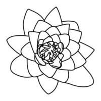 sakura körsbär blomma blomma linje konst vektor illustration
